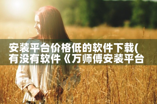 安装平台价格低的软件下载