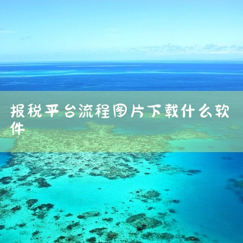 下载国税申报系统软件的方法：1、首先在百度搜索中输入国税申报，在搜索结果中可以点击国家税务总局的连接...,