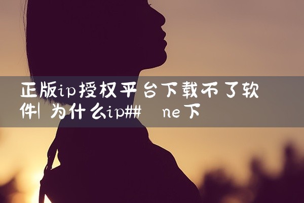 正版ip授权平台下载不了软件