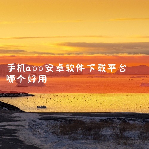 安卓好用的手机下载软件有以下几款推荐：豌豆荚：作为老牌应用商店，豌豆荚有着诸多优势。其界面简洁清爽，给用户带来舒适的视觉体验。拥有超过200万个安卓应用和游戏下载资源，资源丰富程度可见一斑。并且所有应|