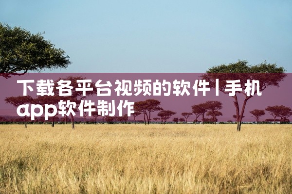 下载各平台视频的软件