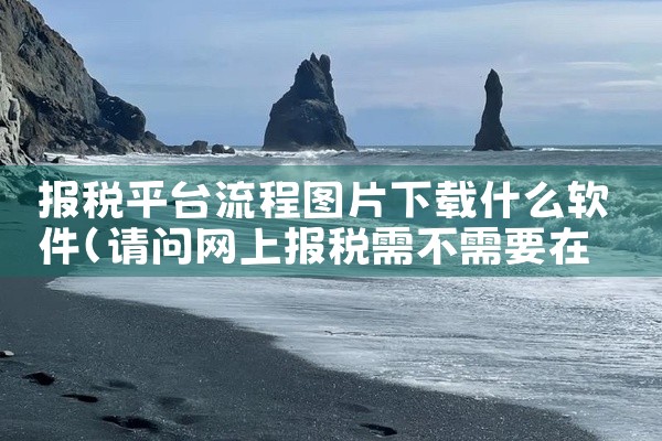报税平台流程图片下载什么软件