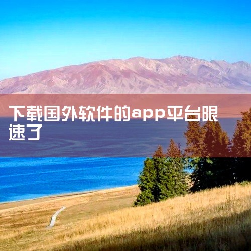 1. Google Framework缺失 - 确保手机已安装完整Google Framework，这通常是软件下载的前提条件。一旦安装完成，您将能够顺利访问商店。2. 加速器问题 - 有时，网络连接,