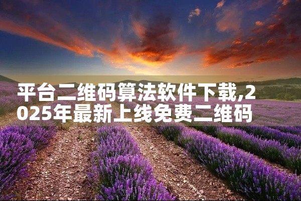 平台二维码算法软件下载